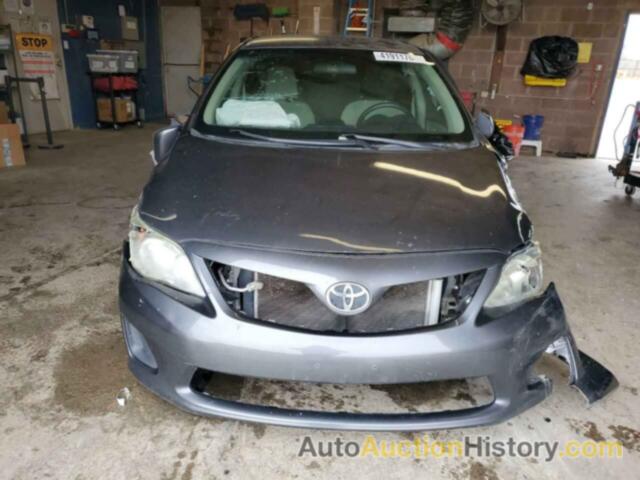 TOYOTA COROLLA BASE, 5YFBU4EE9DP141816