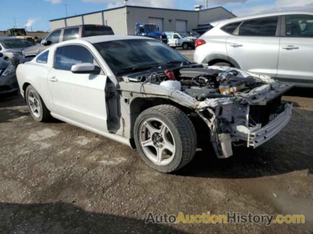 FORD MUSTANG GT, 1ZVBP8CF5E5288351