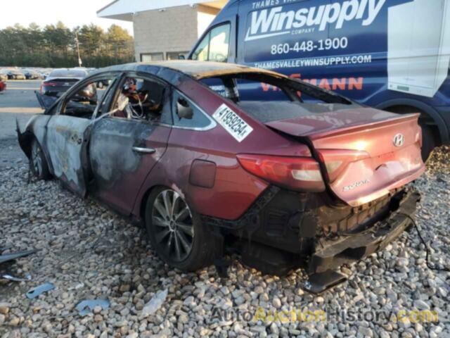 HYUNDAI SONATA SPORT, 5NPE34AF3FH212829