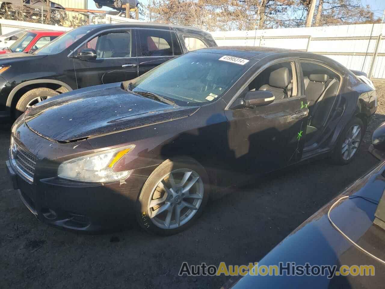 NISSAN MAXIMA S, 1N4AA5AP8AC835263