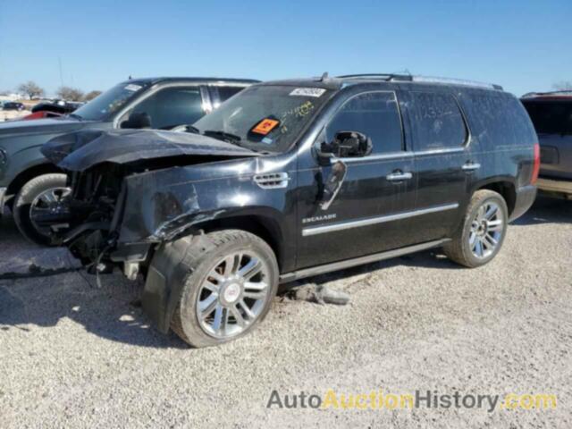 CADILLAC ESCALADE PLATINUM, 1GYUCDEF2AR123366