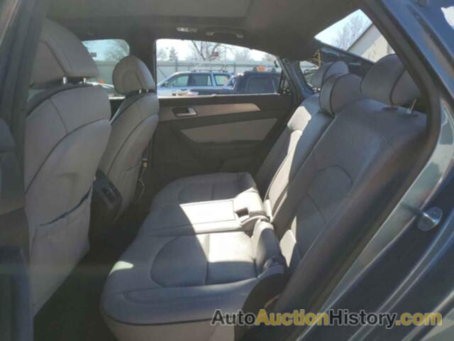 HYUNDAI SONATA SPORT, 5NPE34AB3FH174029