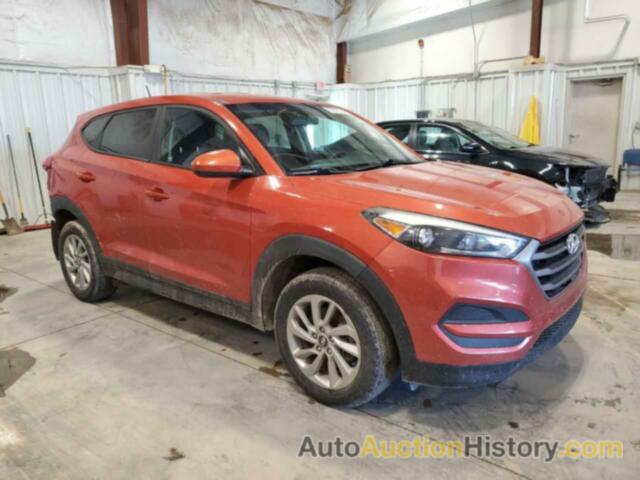 HYUNDAI TUCSON SE, KM8J23A42GU237038