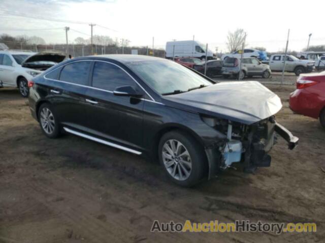 HYUNDAI SONATA SPORT, 5NPE34AF7HH542394