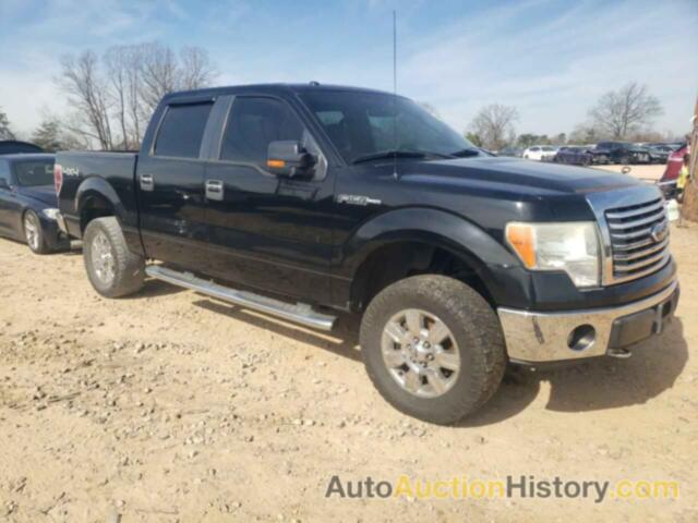 FORD F-150 SUPERCREW, 1FTFW1EF8BFC03651