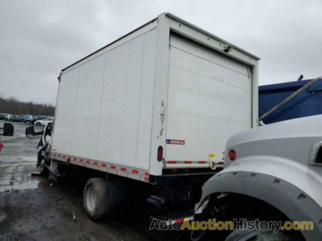 CHEVROLET EXPRESS, 1GB3GSC78N1219629