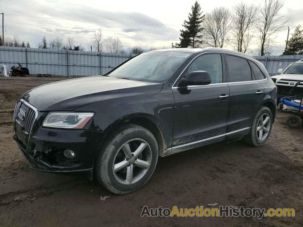 AUDI Q5 PREMIUM PLUS, WA1L2AFP5GA098989