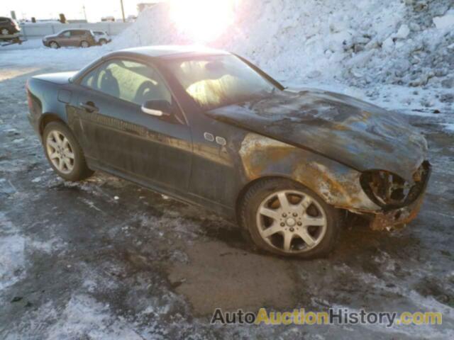 MERCEDES-BENZ SLK-CLASS 320, WDBKK65FX1F197565