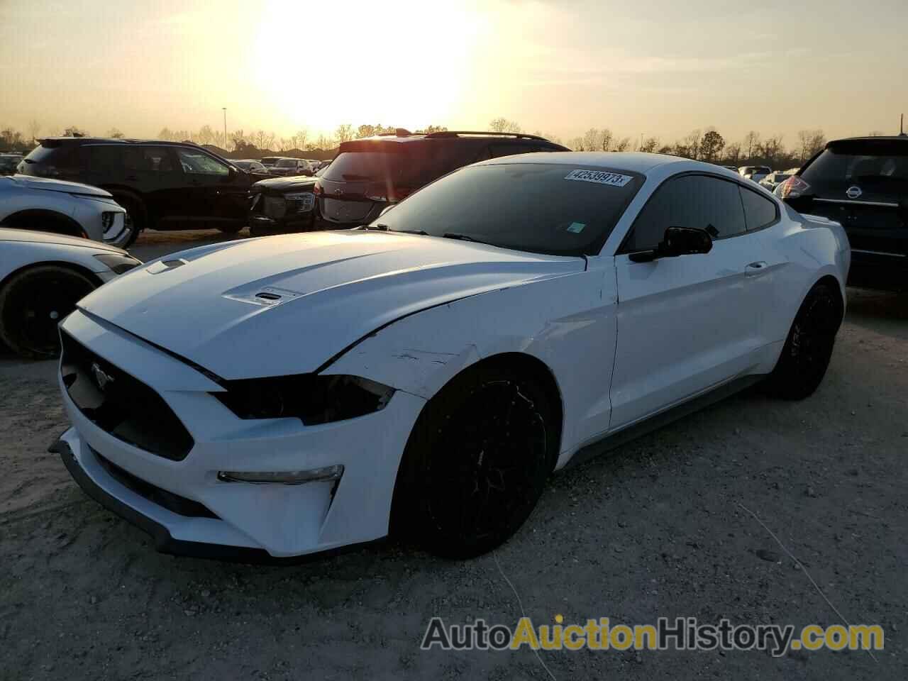 2019 FORD MUSTANG, 1FA6P8TH9K5181066