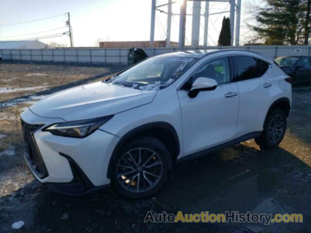 LEXUS NX 350 350, JTJAGCEZ8N5000392