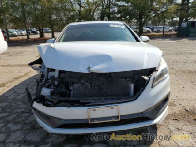 HYUNDAI SONATA SPORT, 5NPE34AF0HH565368