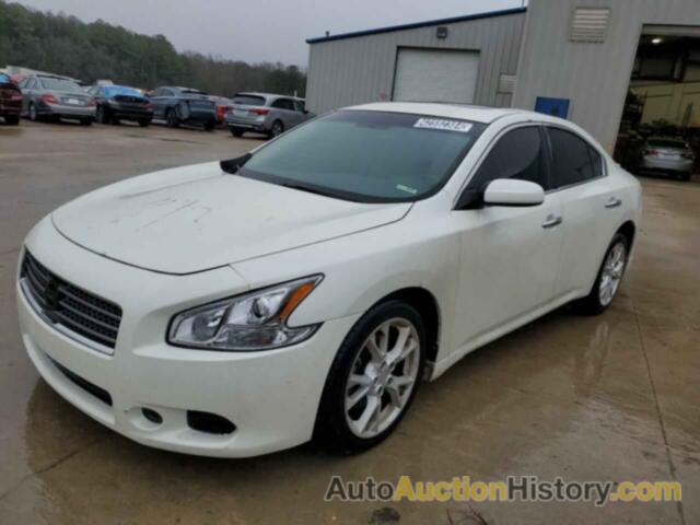 NISSAN MAXIMA S, 1N4AA5AP9DC811557