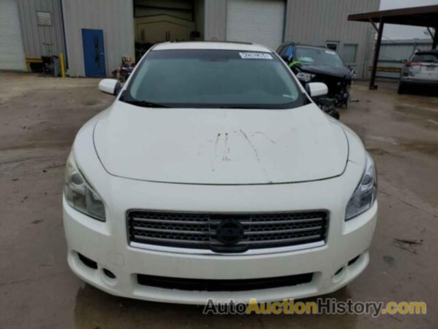 NISSAN MAXIMA S, 1N4AA5AP9DC811557