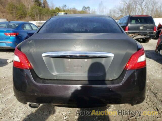 NISSAN MAXIMA S, 1N4AA5AP3BC802060