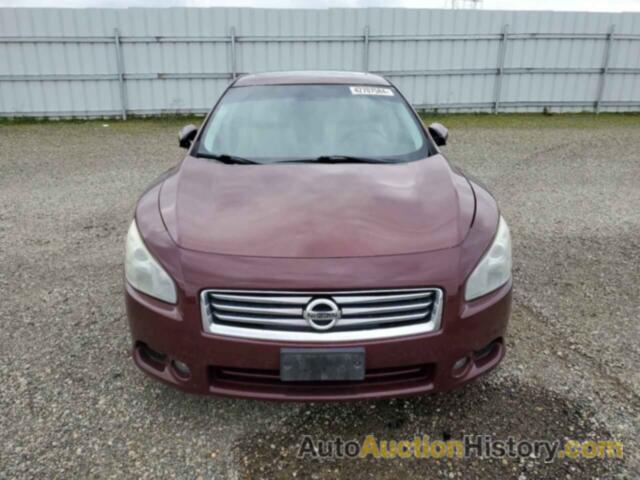 NISSAN MAXIMA S, 1N4AA5AP1DC807003