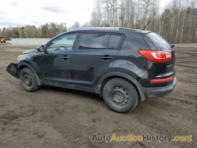 KIA SPORTAGE LX, KNDPB3A22B7127806