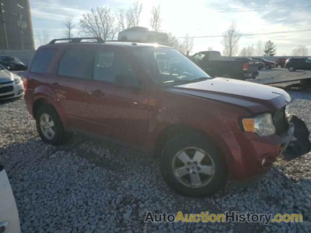 FORD ESCAPE XLT, 1FMCU9D74BKB29407