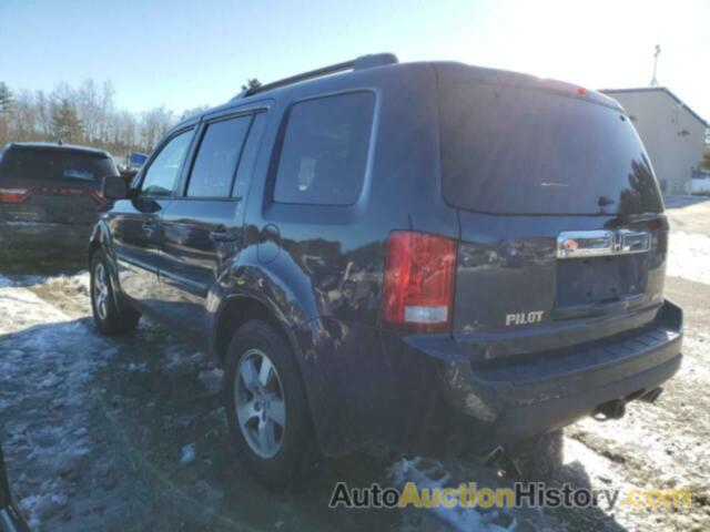 HONDA PILOT EXLN, 5FNYF4H76BB016184