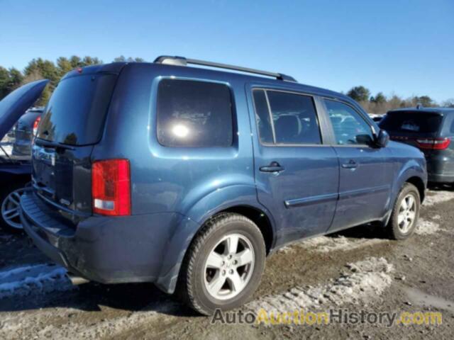 HONDA PILOT EXLN, 5FNYF4H76BB016184