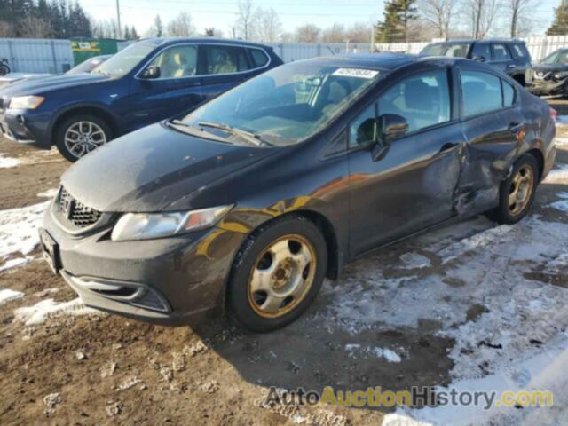 HONDA CIVIC LX, 2HGFB2F55EH028769