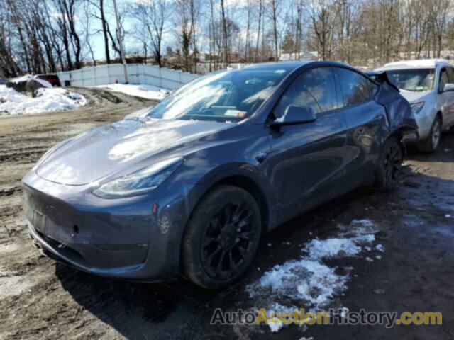 TESLA MODEL Y, 7SAYGAEE8NF430007