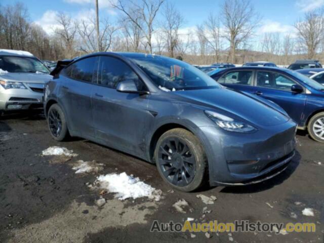 TESLA MODEL Y, 7SAYGAEE8NF430007