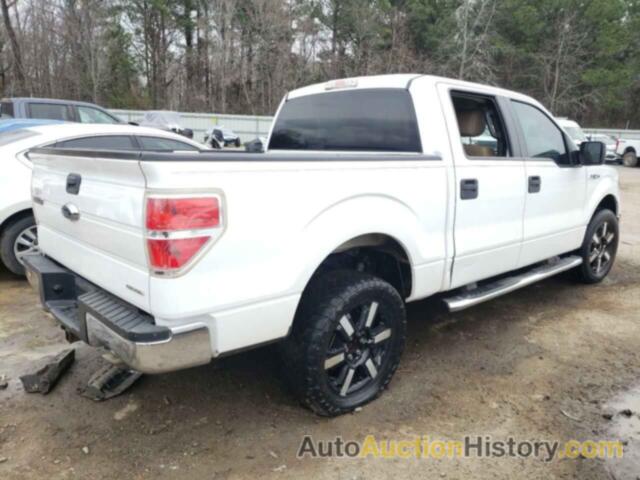 FORD F-150 SUPERCREW, 1FTEW1CMXDKF75984