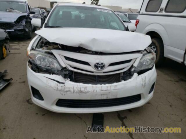 TOYOTA COROLLA BASE, 2T1BU4EE5CC874041