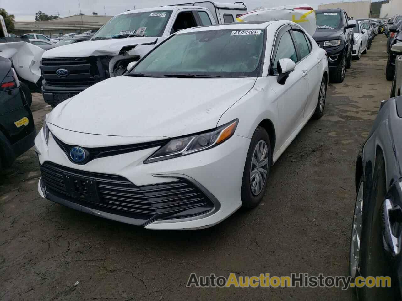 TOYOTA CAMRY LE, 4T1H31AK8PU618391