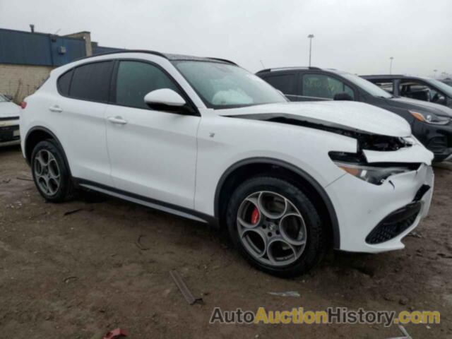 ALFA ROMEO STELVIO TI, ZASPAKBN5P7D51012