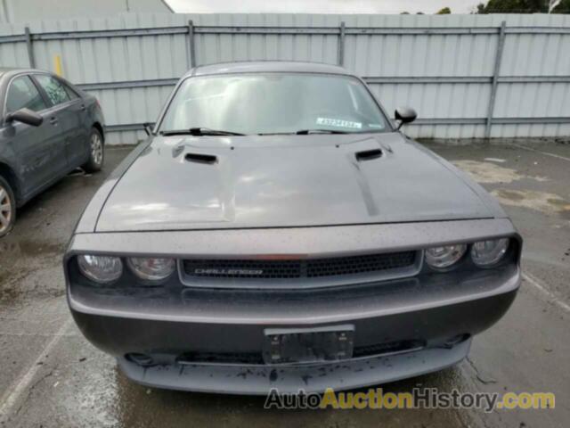 DODGE CHALLENGER SXT, 2C3CDYAG9EH107485