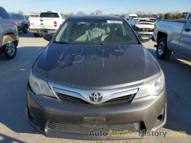 TOYOTA CAMRY L, 4T4BF1FK1DR304346