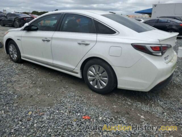 HYUNDAI SONATA HYBRID, KMHE24L10GA040607