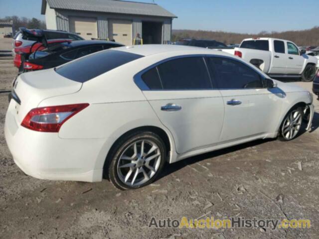 NISSAN MAXIMA S, 1N4AA5AP2BC851671