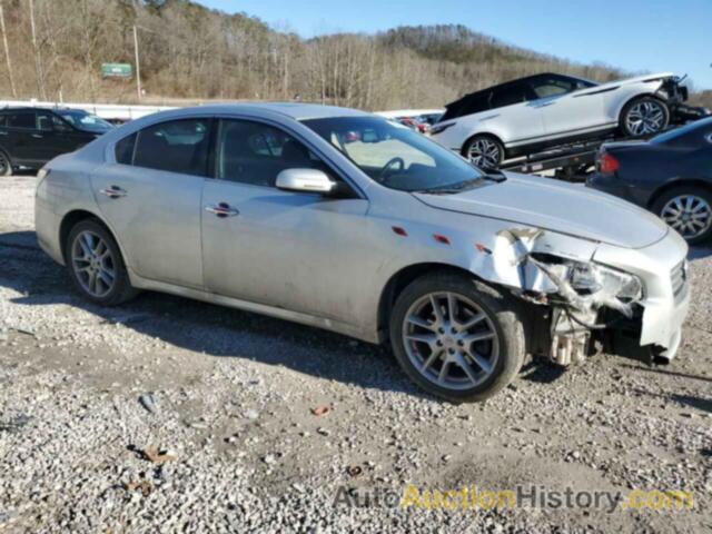 NISSAN MAXIMA S, 1N4AA5APXDC842056