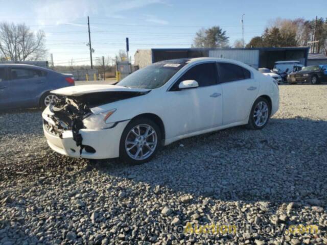 NISSAN MAXIMA S, 1N4AA5AP2EC446317