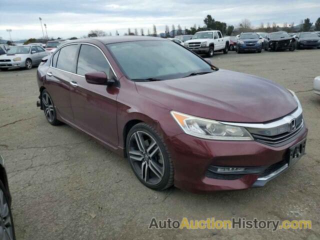 HONDA ACCORD SPORT, 1HGCR2F52GA016577