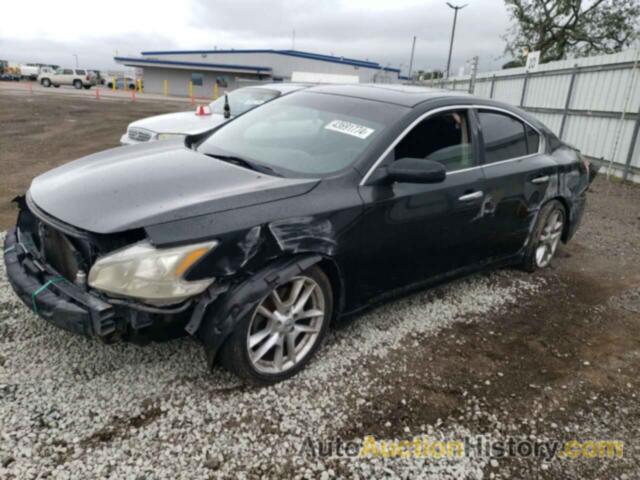 NISSAN MAXIMA S, 1N4AA5AP0BC836568