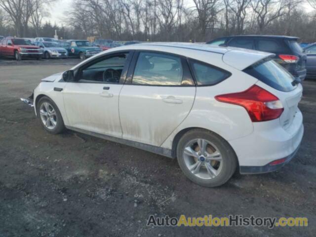 FORD FOCUS SE, 1FADP3K24EL362728