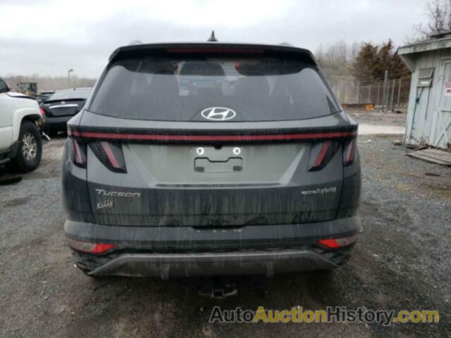 HYUNDAI TUCSON LIMITED, KM8JECD12RU160795