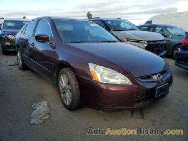 HONDA ACCORD LX, JHMCM56364C038271