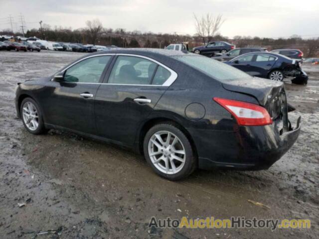 NISSAN MAXIMA S, 1N4AA5AP9BC846726