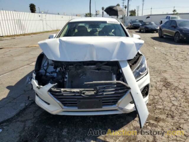 HYUNDAI SONATA SPORT, 5NPE34AF1JH645848