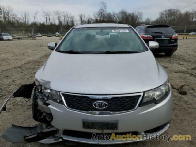 KIA FORTE EX, KNAFU4A26C5631958