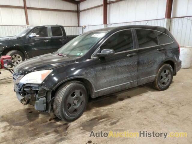 HONDA CRV LX, 5J6RE4H39BL115531