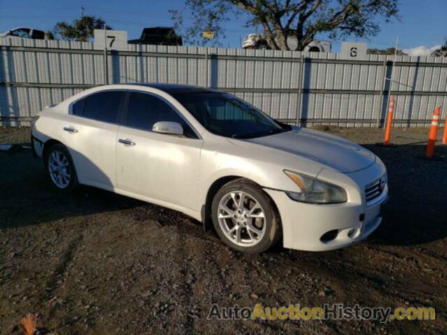 NISSAN MAXIMA S, 1N4AA5AP3DC825051