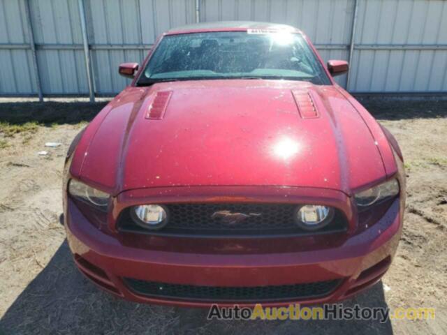 FORD MUSTANG GT, 1ZVBP8FF6E5243463