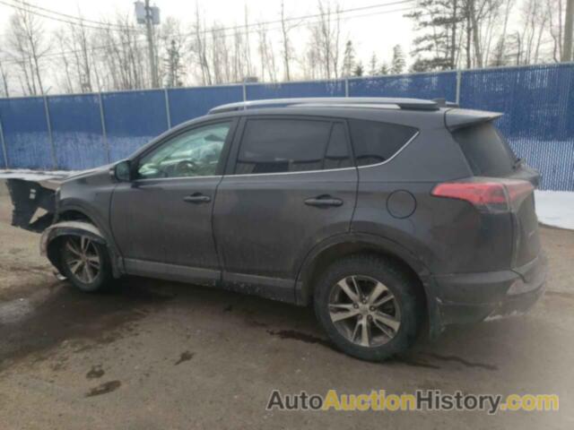 TOYOTA RAV4 XLE, 2T3RFREV2HW624503