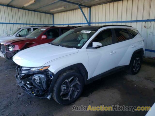 HYUNDAI TUCSON SEL CONVENIENCE, KM8JFCA10PU134761