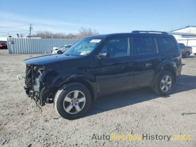 HONDA PILOT EX, 5FNYF4H44BB080536